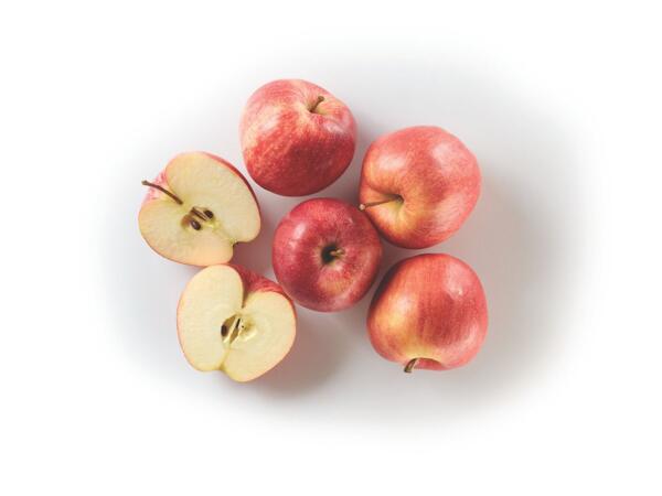 Gala Apples Alto Adige PGI
