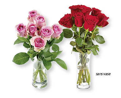 Roses exclusives