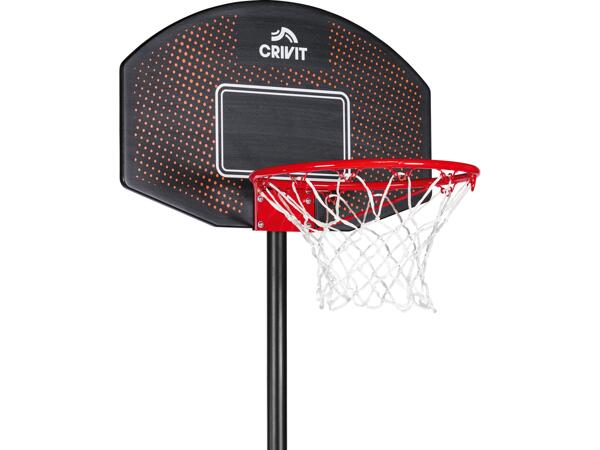 Portable Basketball Hoop & Stand