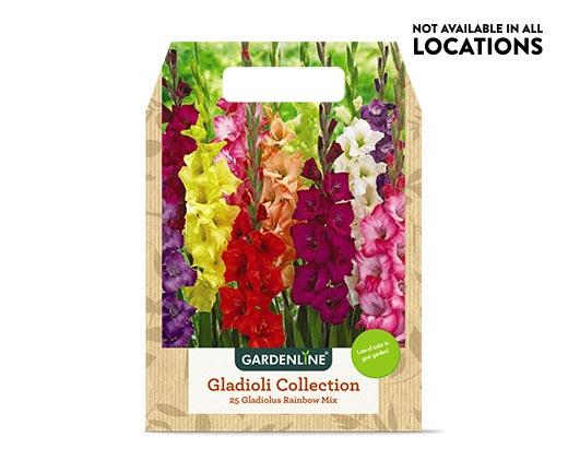 Gardenline 
 Mixed Spring Bulbs Assorted Varieties