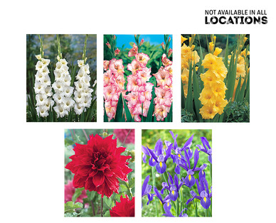 Gardenline Spring Bulbs