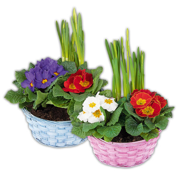 Bunter Frühlingskorb