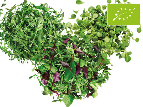 Bio Salat