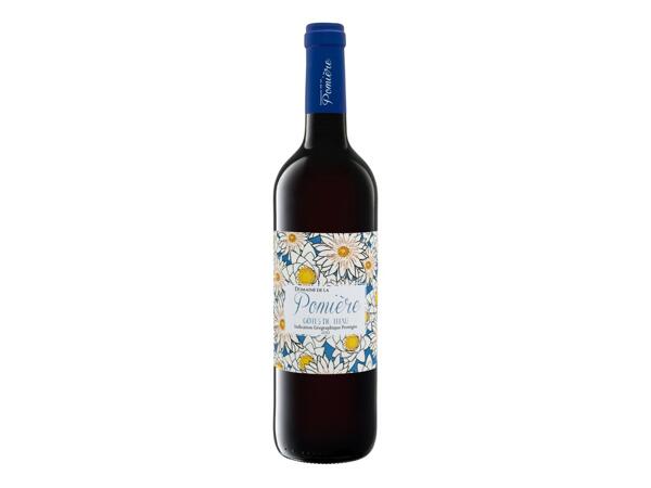 Côtes de Thau Wine