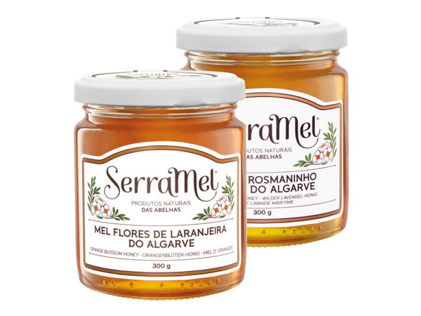 Orangenblütenhonig oder Lavendel-Honig