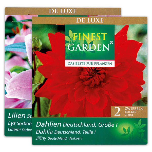 Exklusive Blumenzwiebeln "De Luxe"