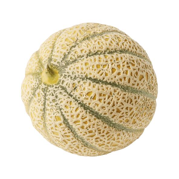 Melon cantaloup