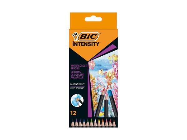 BIC(R) Intensity akvarelblyanter eller Dual Tip Pastel