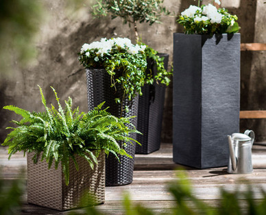 GARDENLINE Pflanzgefäß in Rattan-Optik, kubisch