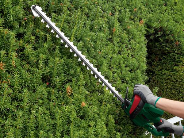 650W Electric Hedge Trimmer