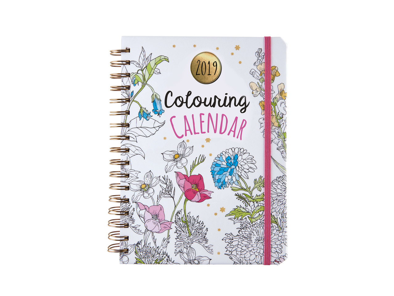 2019 Diary1