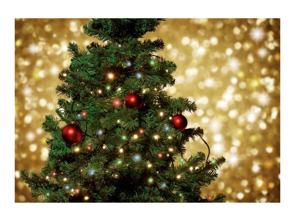 Livarno Home 50 LED String Lights