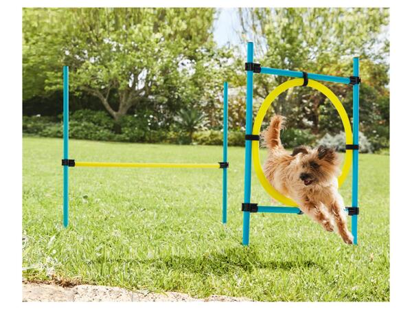 Zoofari Dog Agility Set