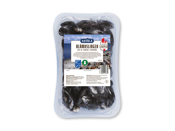 HAVBLÅ Danske blåmuslinger