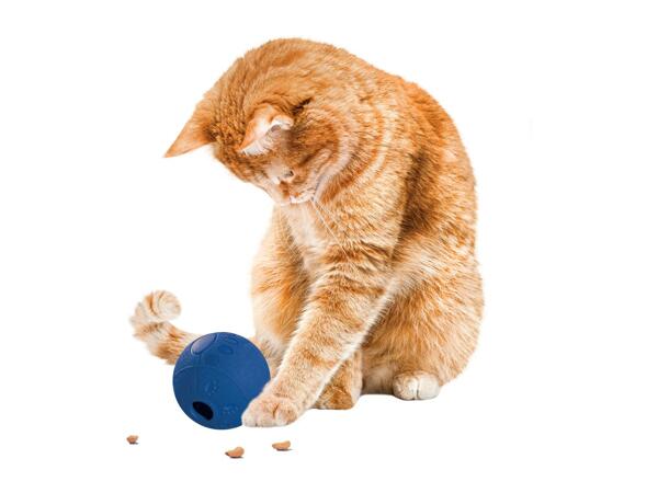 Zoofari Pet Accessories - Pet Snack Ball