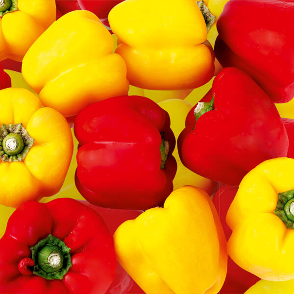 Paprika Sweet Mix