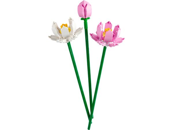 Lekset blommor