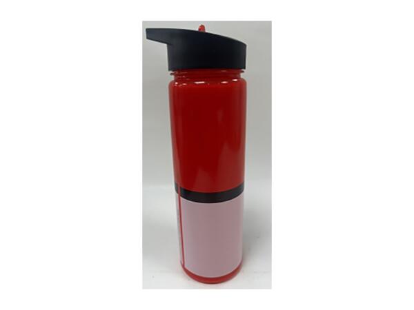 600ml Character Water Bottle - Pokémon