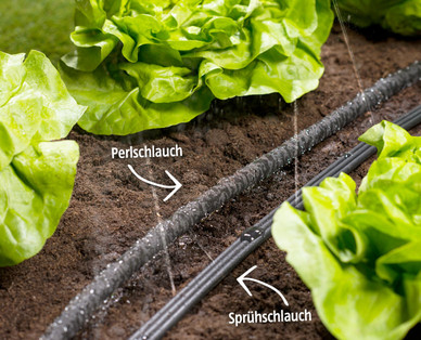 GARDENLINE Perlschlauch/ Sprühschlauch