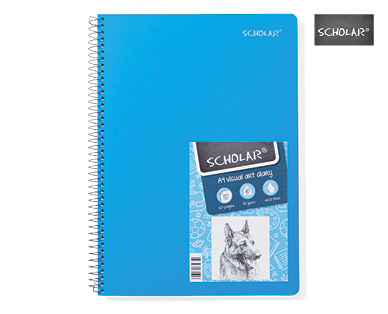 A4 VISUAL ART DIARY 120PG