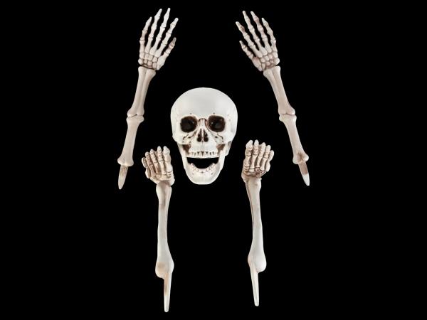 Halloweendekoration