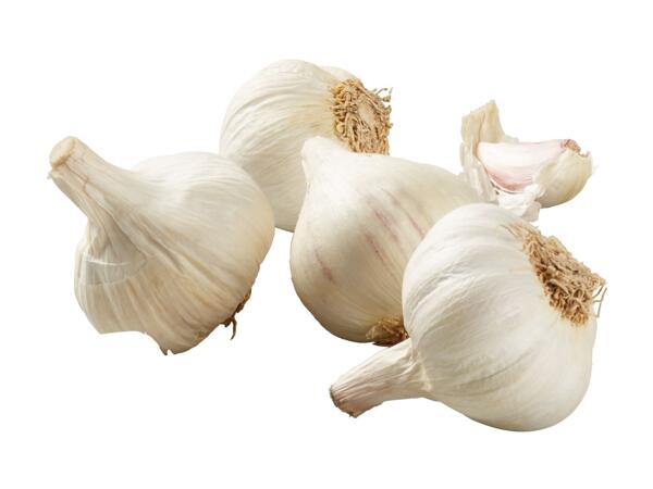 Garlic Net