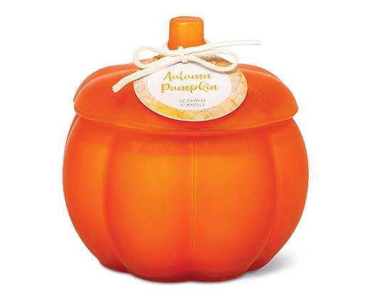 Huntington Home
Frosted Pumpkin Candle