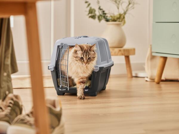 Cat Litter Tray Or Pet Carrier