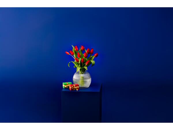 Christmas Tulips