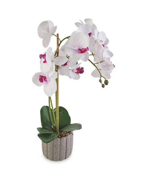Artificial Orchid