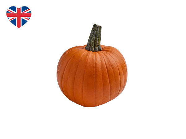 British Medium Pumpkin
