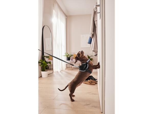 Dog Harness