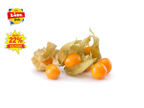 Physalis