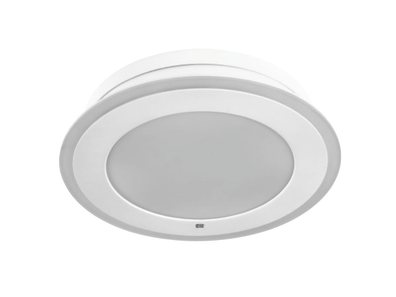 LED Ceiling Light