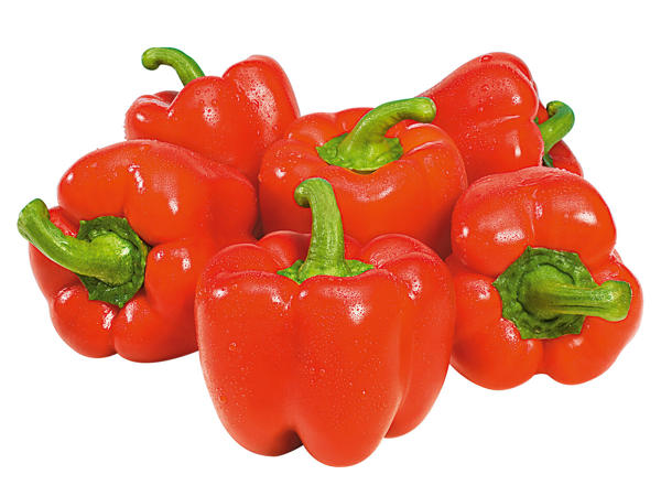 Bio Paprika rot