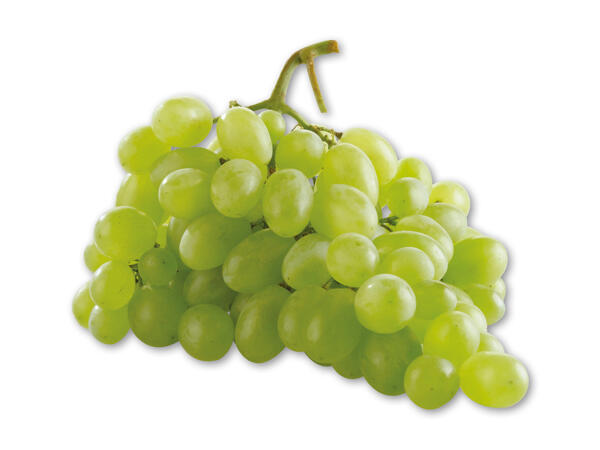 Grønne stenfri vindruer