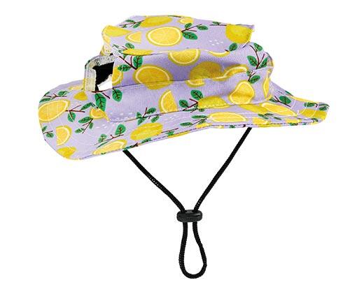 Heart to Tail Pet Hat