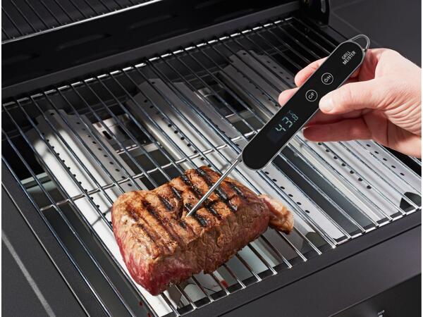 Digital meat thermometer
