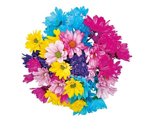 Premium Fresh Flower Bouquet Assorted Varieties
