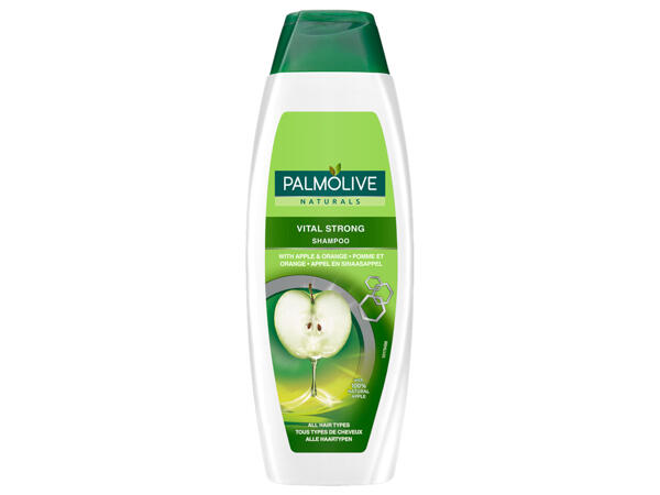 Shampoo oder Duschcreme