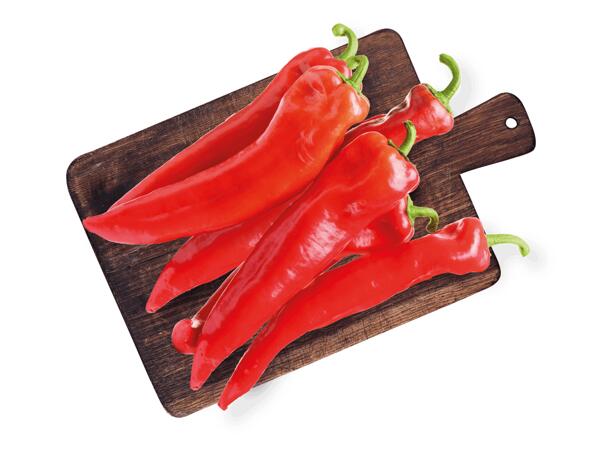 Spitzpaprika rot