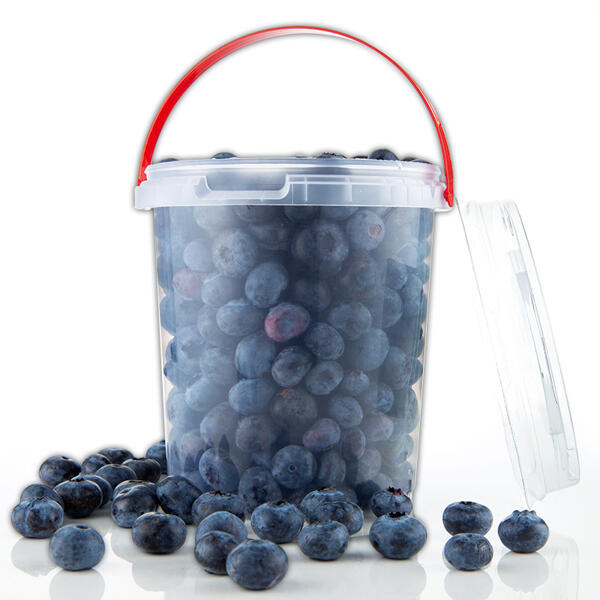 Premium Kultur-Heidelbeeren
