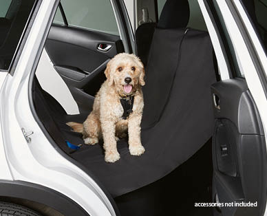Pet Seat Cover