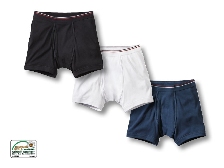Boxer