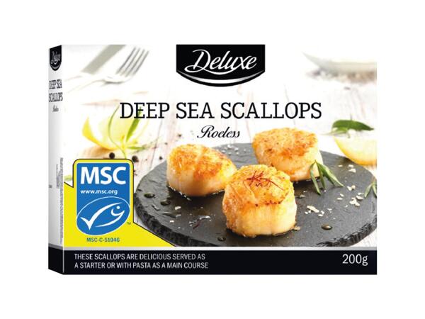 Deep Sea Scallops