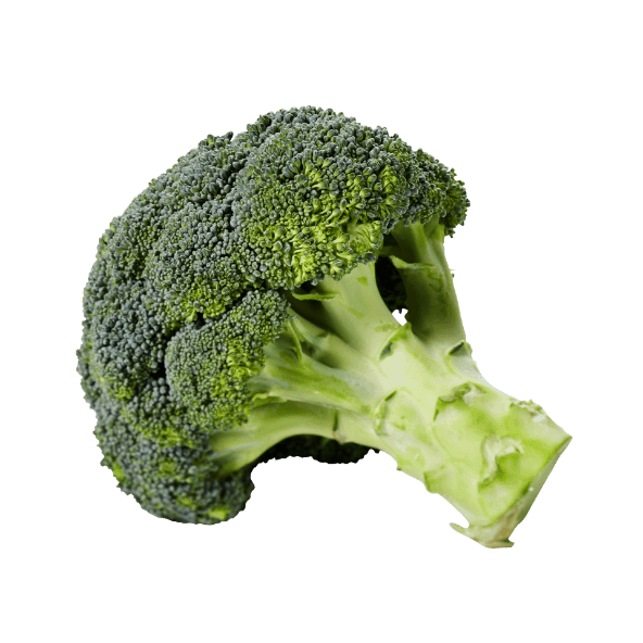 Broccoli