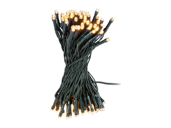 Livarno Home 100 LED String Lights