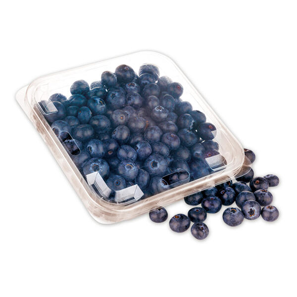 Premium Heidelbeeren