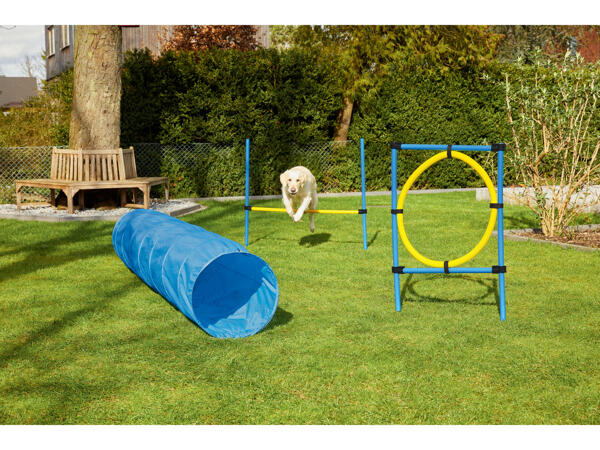 Zoofari Agility-redskap