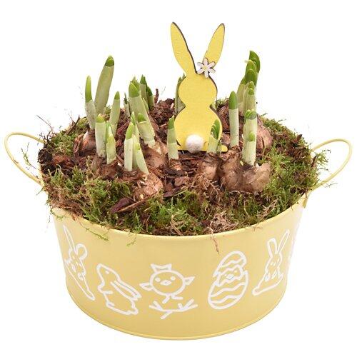 Composizione di Pasqua